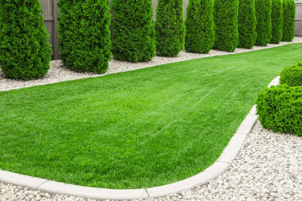 Beautiful home with lush green lawn