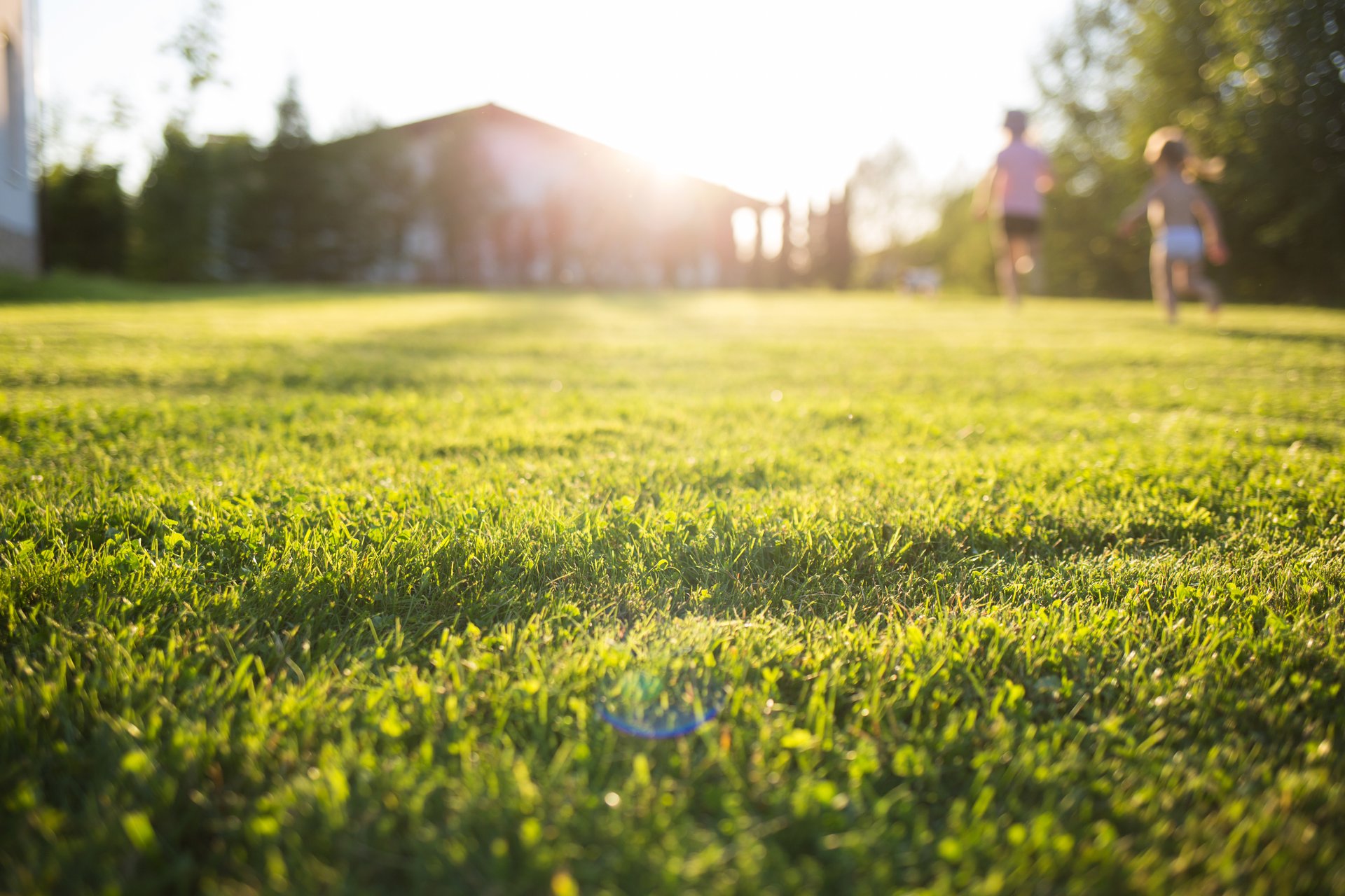 Lush green lawn with a beautiful home