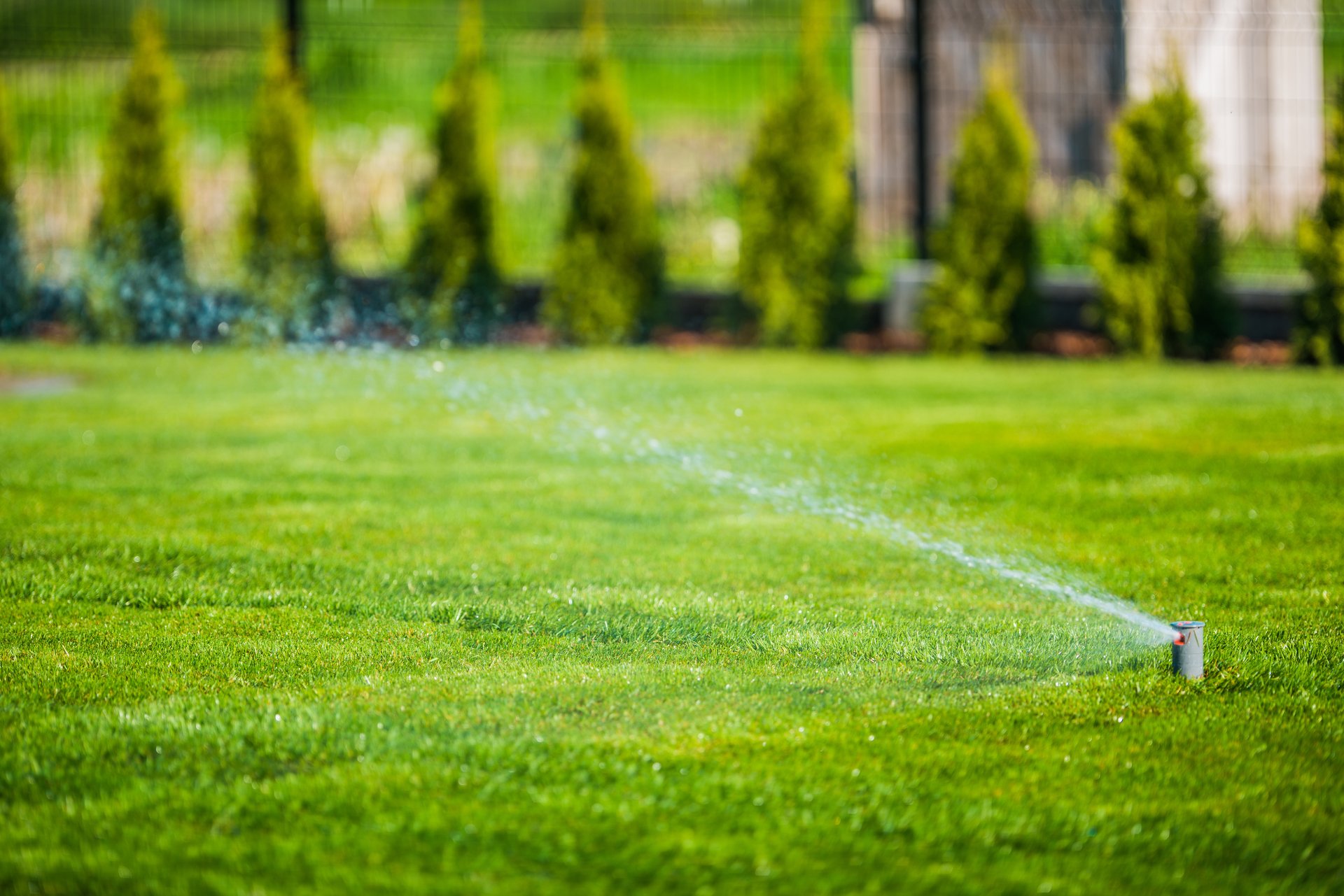 Underground sprinkler system installation