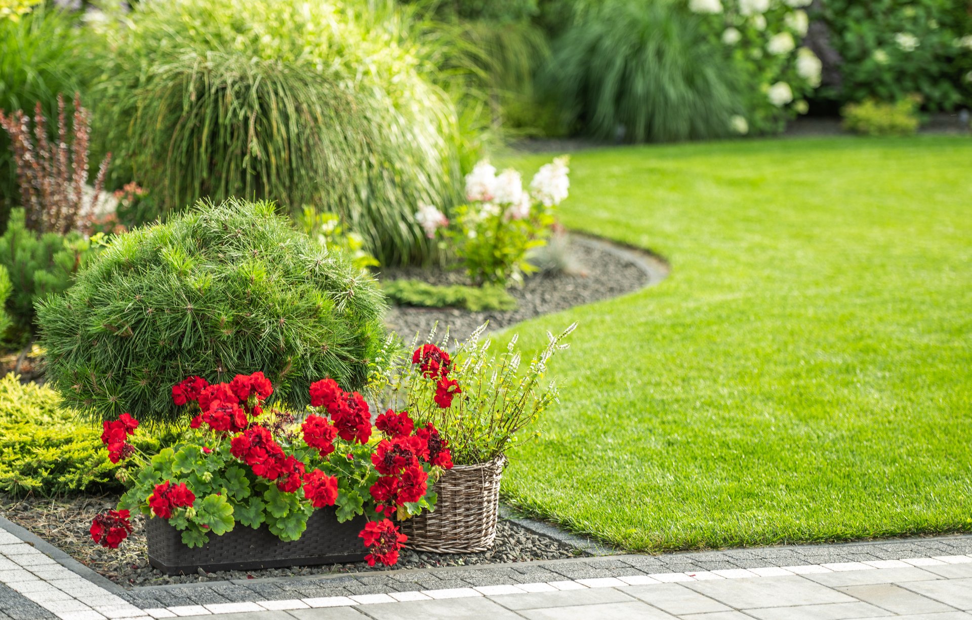 Professional lawn care treatment